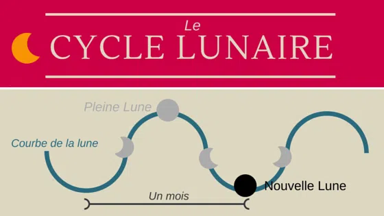 cycle lunaire nouvel an chinois